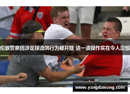 伦敦警察因涉足球流氓行为被开除 这一波操作实在令人震惊