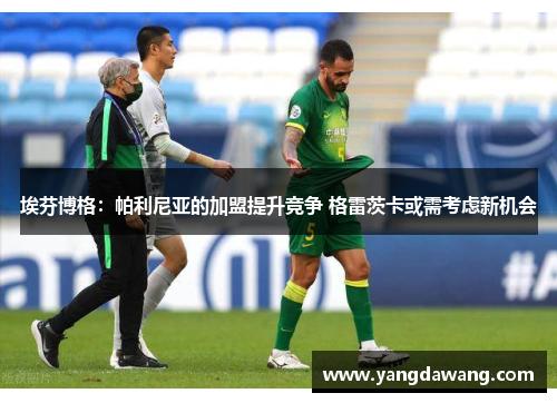 埃芬博格：帕利尼亚的加盟提升竞争 格雷茨卡或需考虑新机会