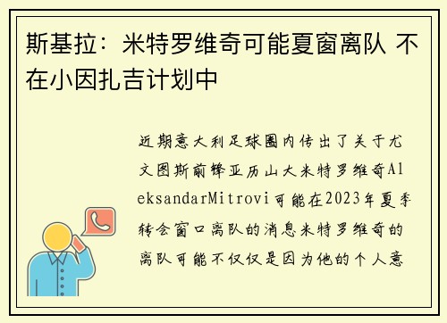斯基拉：米特罗维奇可能夏窗离队 不在小因扎吉计划中